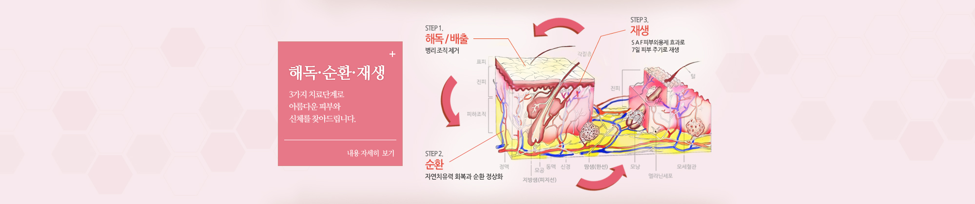 해독과 재생 해독요법과 재생요법으로 아름다운 피부와 신체를 찾아드립니다.